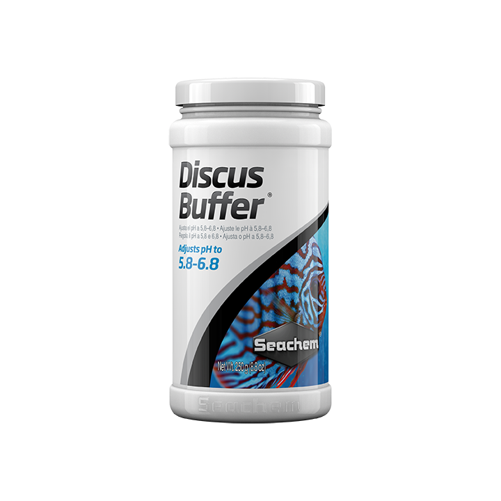 Discus Buffer