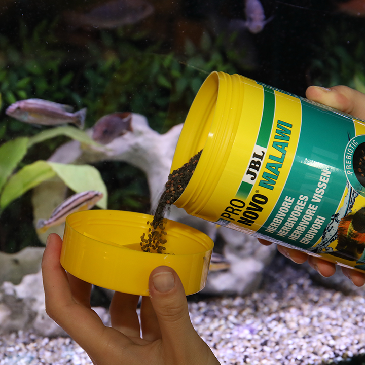 JBL PRONOVO MALAWI GRANO M