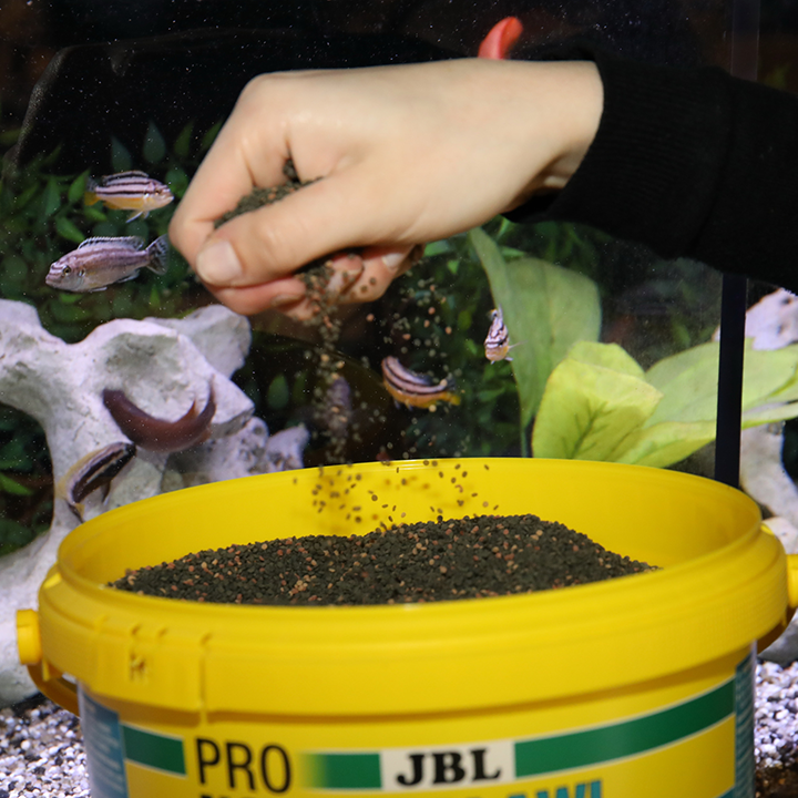 JBL PRONOVO MALAWI GRANO M