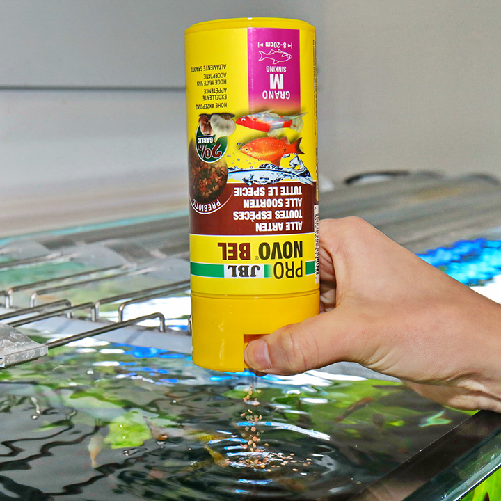 JBL PRONOVO BEL GRANO M