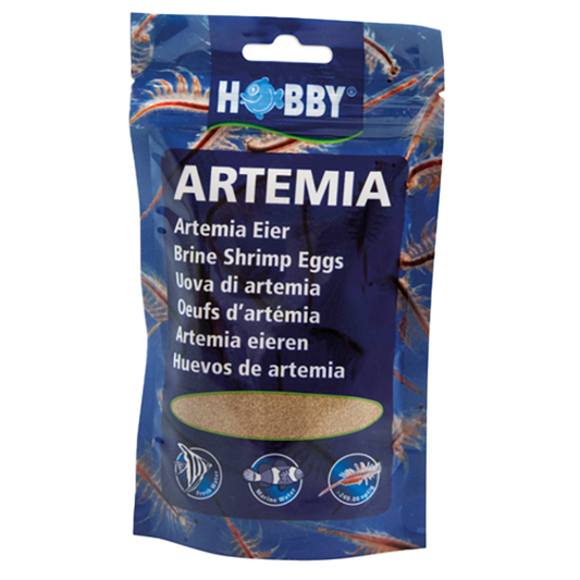 Artemia Brine Shrimp Eggs