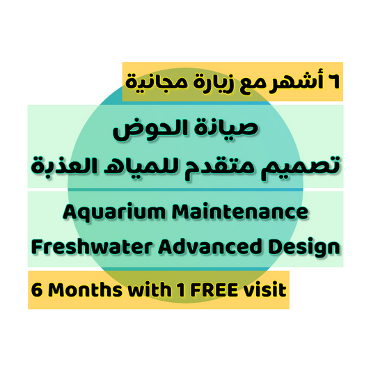 Service: Aquarium Maintenance | Freshwater Advanced Design (6 Months: 5 visits + 1 FREE visit)