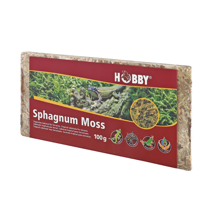 Sphagnum Moss