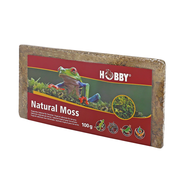 Natural Moss