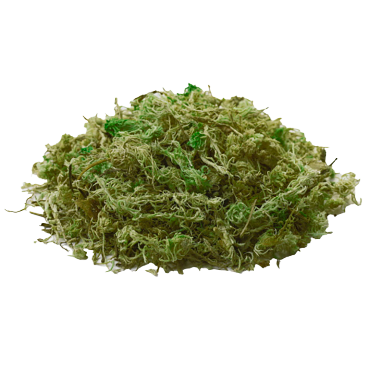 Natural Moss