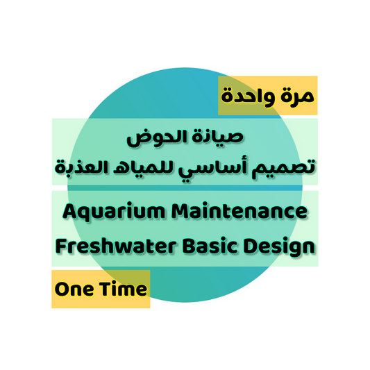 Service: Aquarium Maintenance | Freshwater Basic Design (One Time)