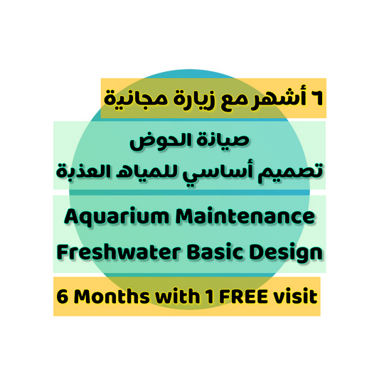 Service: Aquarium Maintenance | Freshwater Basic Design (6 Months: 5 visits + 1 FREE visit)