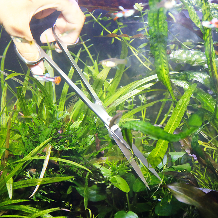 JBL PROSCAPE Tool S 30 Straight