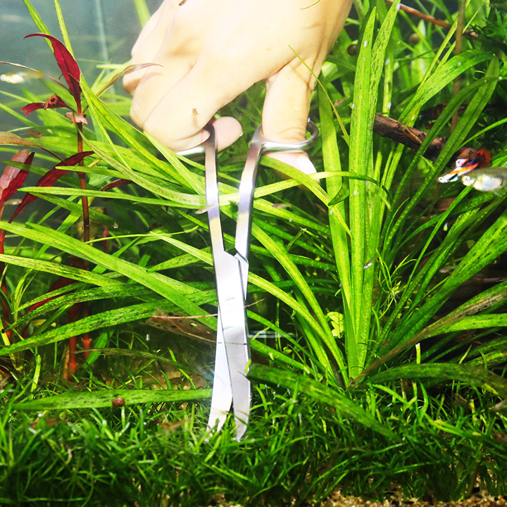 JBL PROSCAPE Tool S 20 Curved