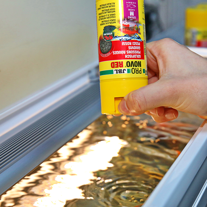 JBL PRONOVO RED GRANO M