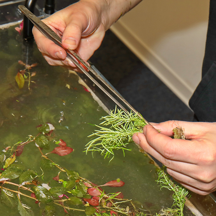 JBL PROSCAPE Tool P 30 Slim line