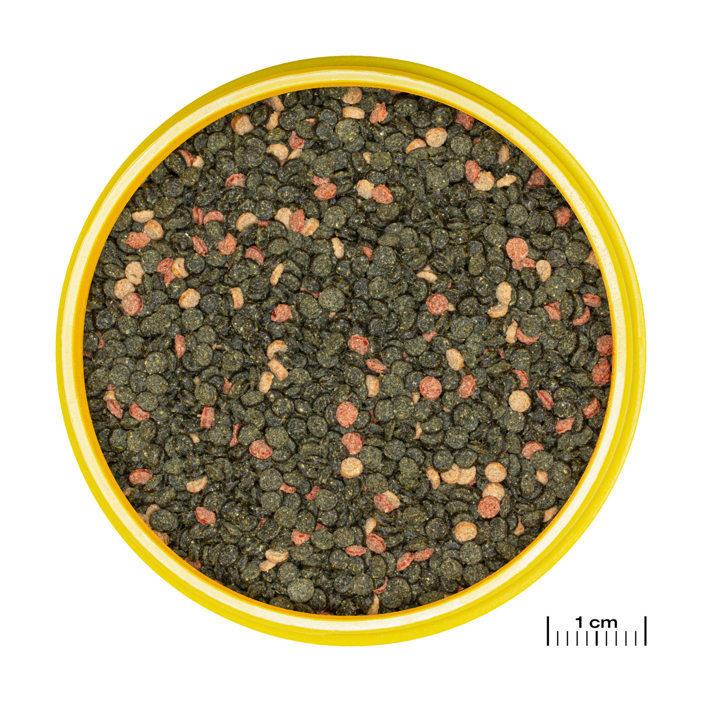 JBL PRONOVO MALAWI GRANO M