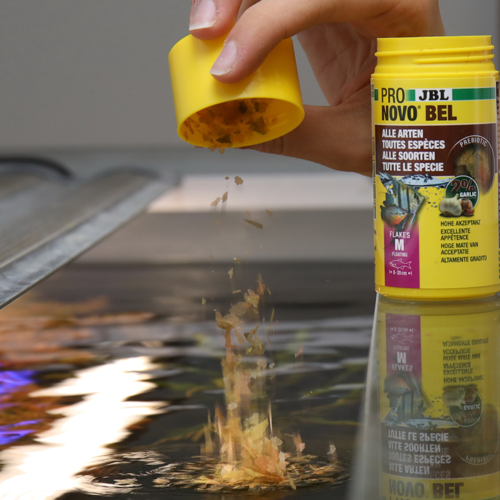 JBL PRONOVO BEL FLAKES M