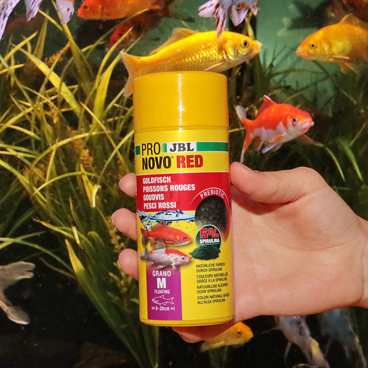 JBL PRONOVO RED GRANO M