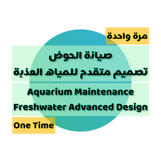 Service: Aquarium Maintenance | Freshwater Advanced Design (One Time)