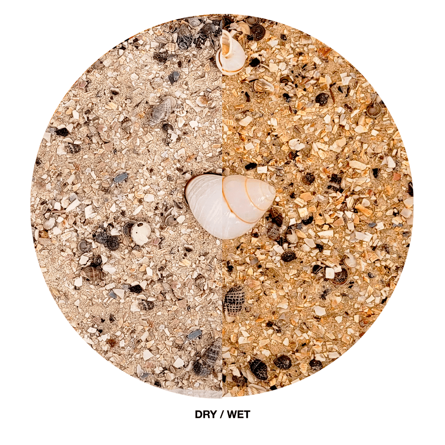 WIO | RiverBed - Nautilus Light