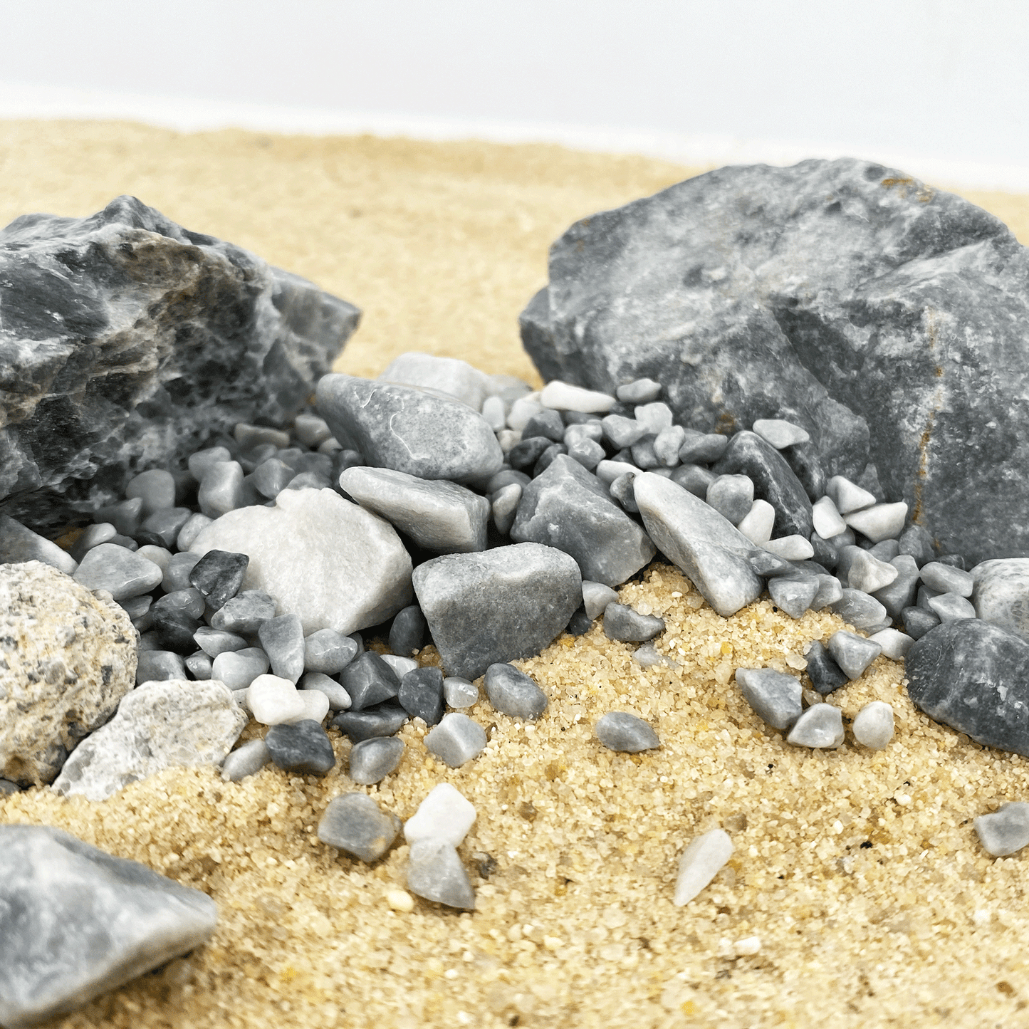 WIO | Accents - Cold Grey Chip