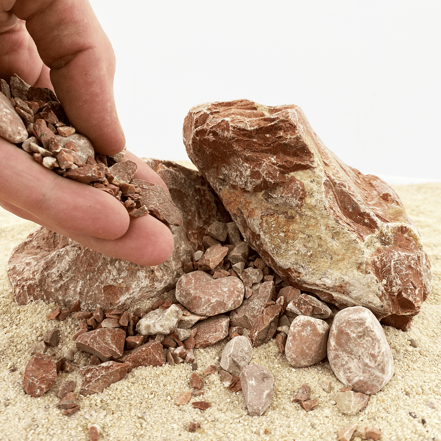 WIO | Accents - Red Chip