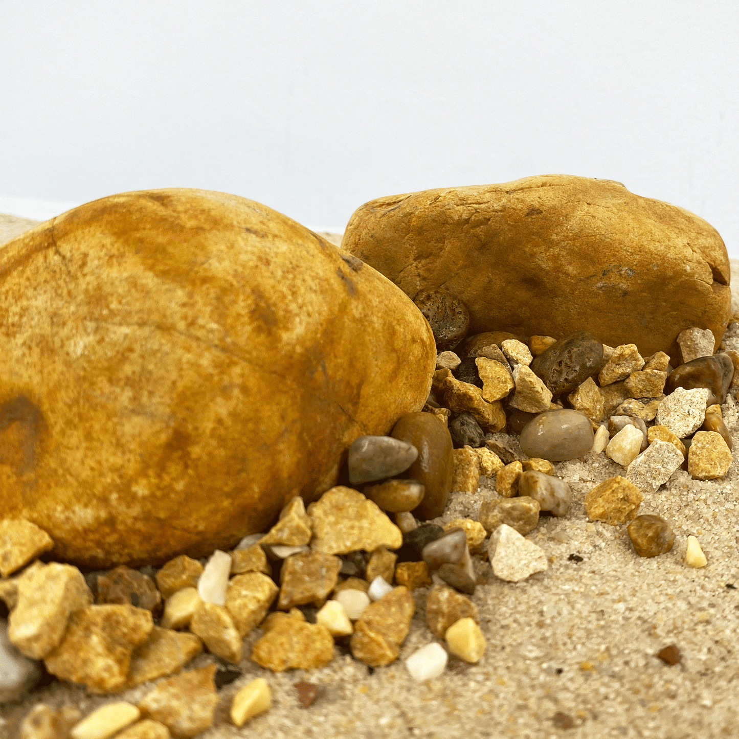 WIO | Accents - Yellow Chip