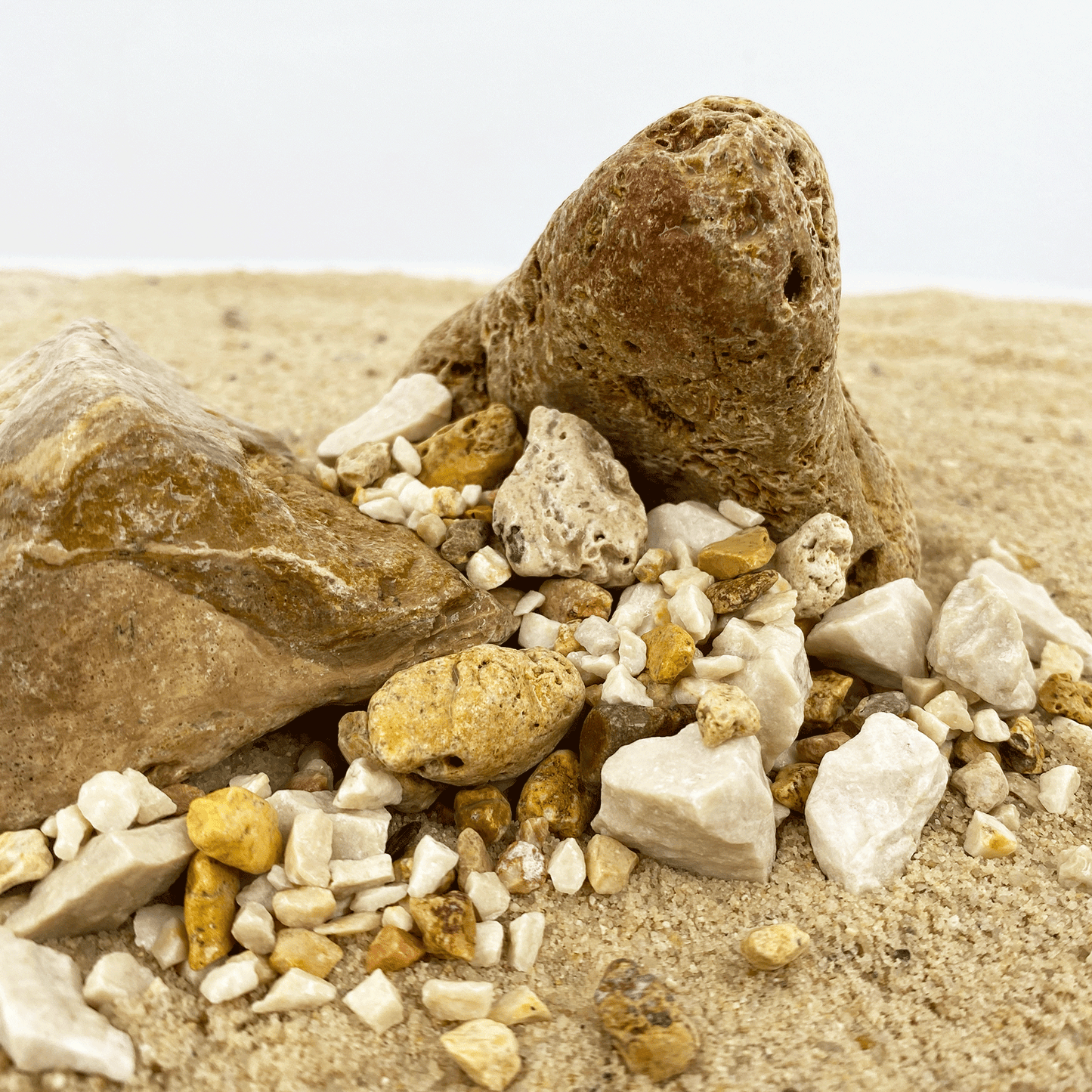 WIO | Accents - Pale Chip