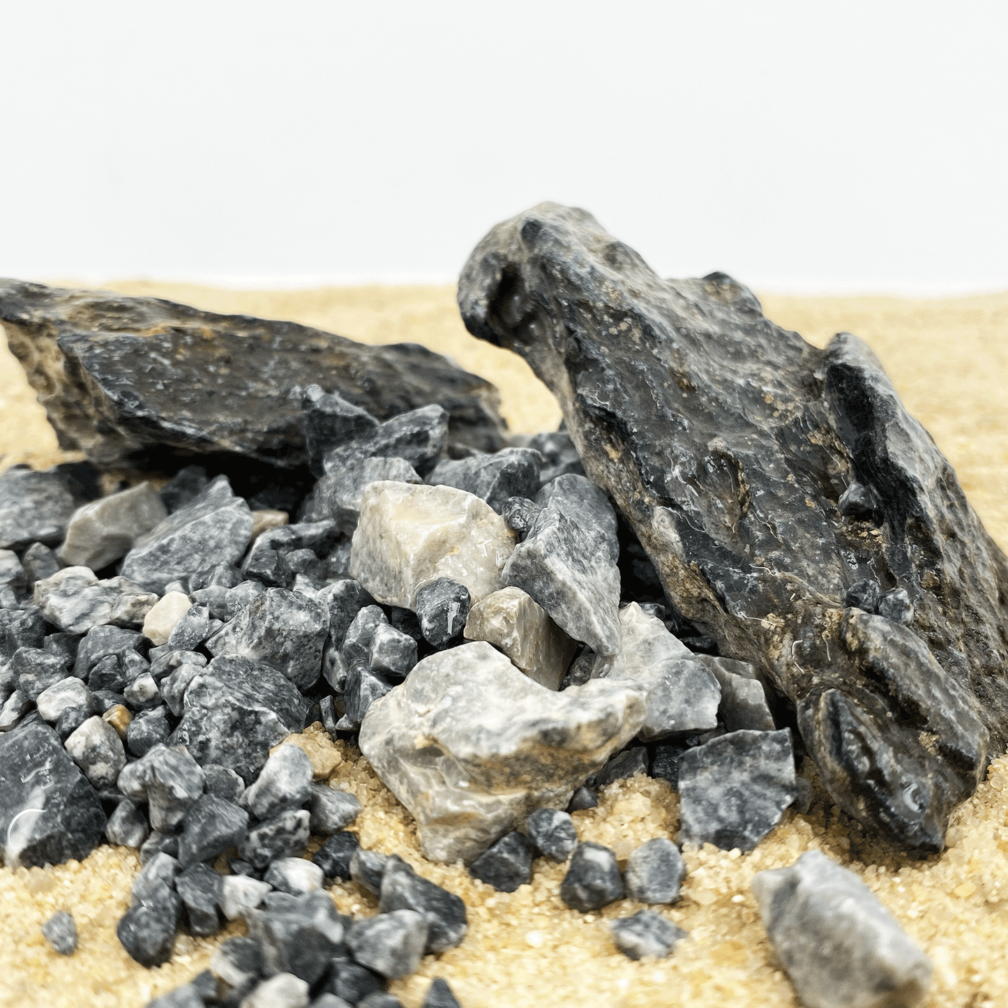 WIO | Accents - Grey Chip