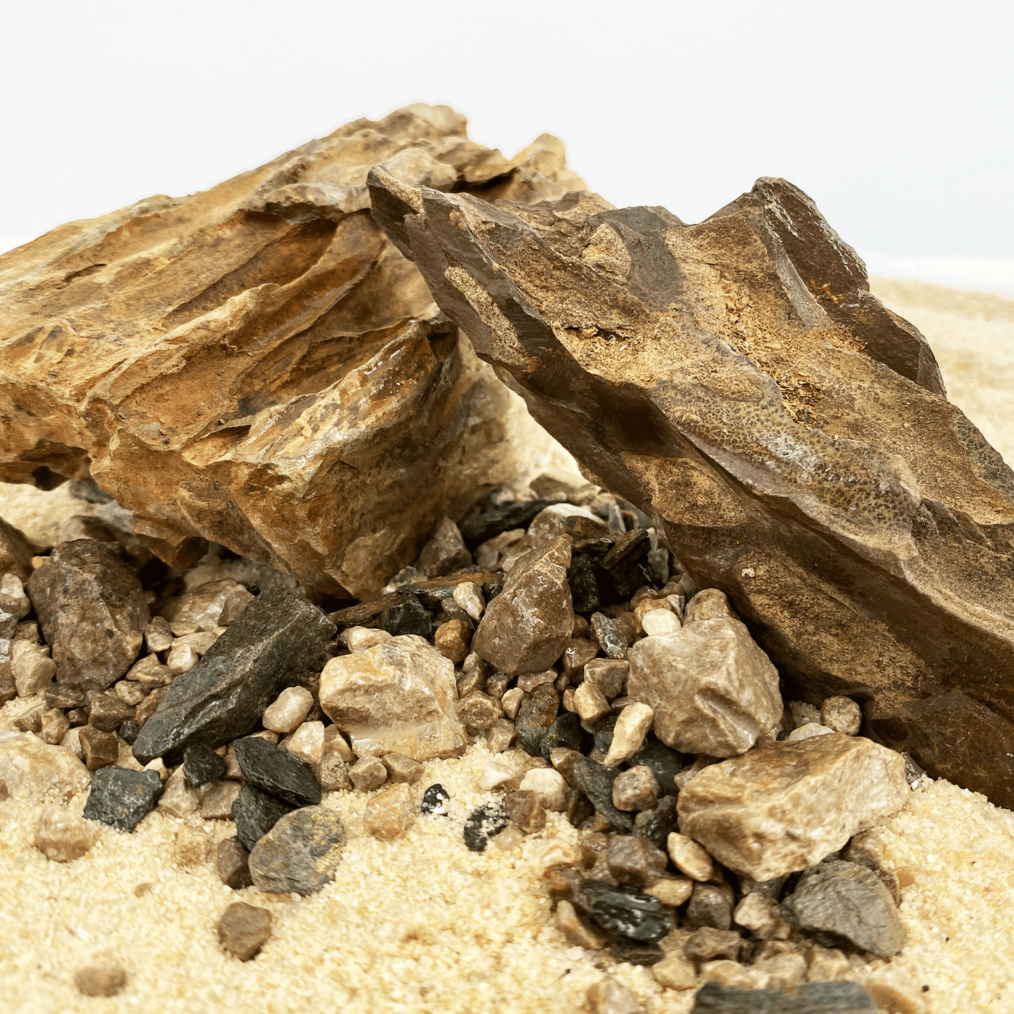 WIO | Accents - Brown Chip