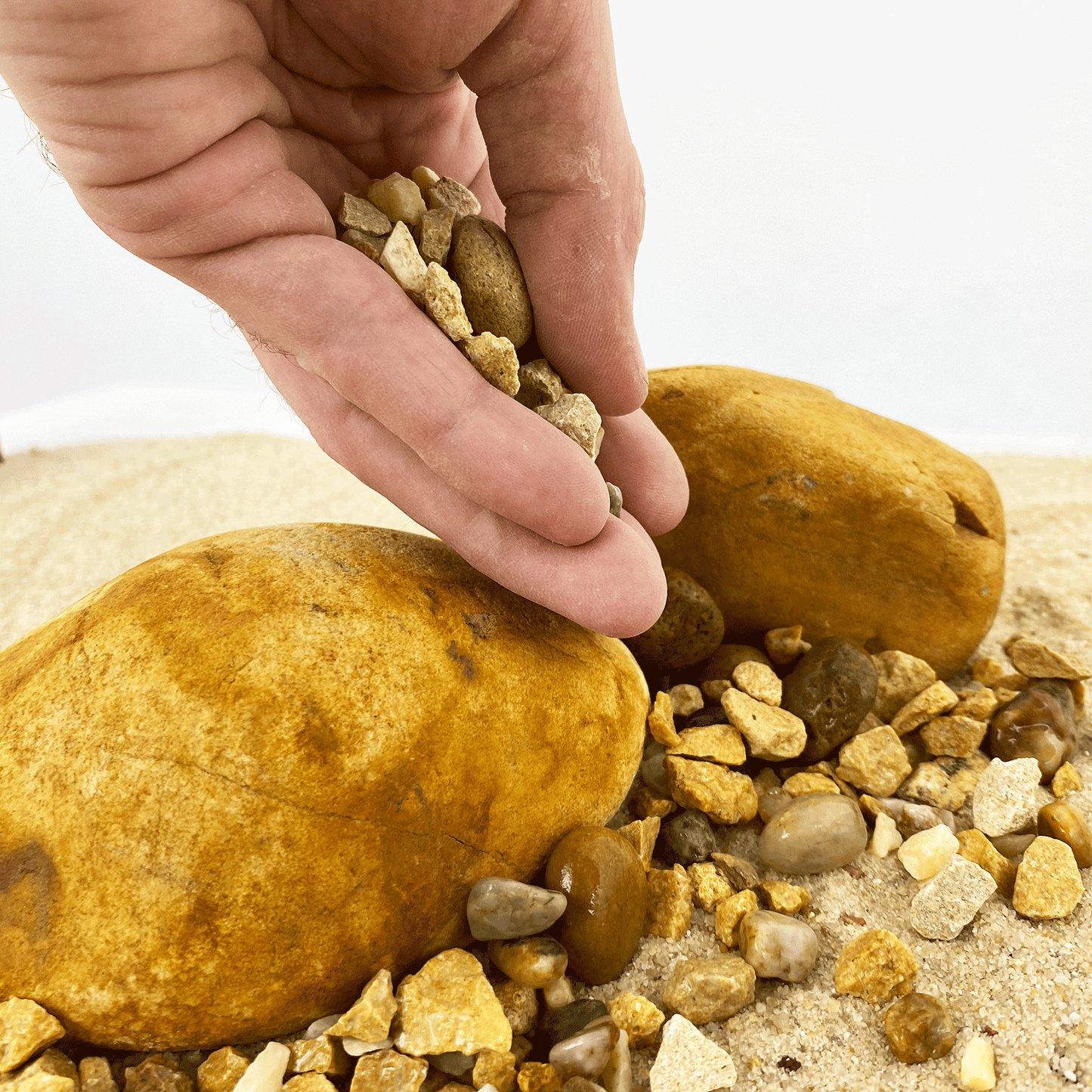 WIO | Accents - Yellow Chip