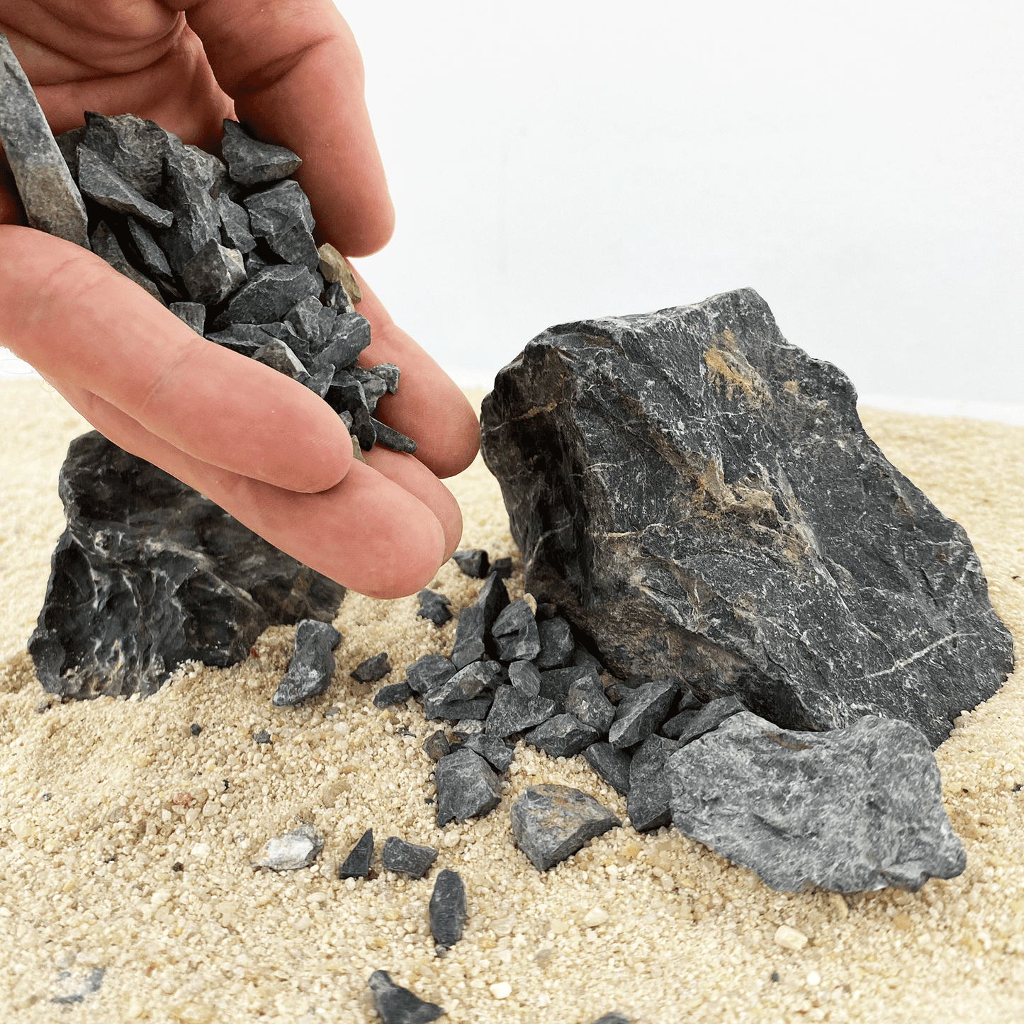 WIO | Accents - Dark Grey Chip