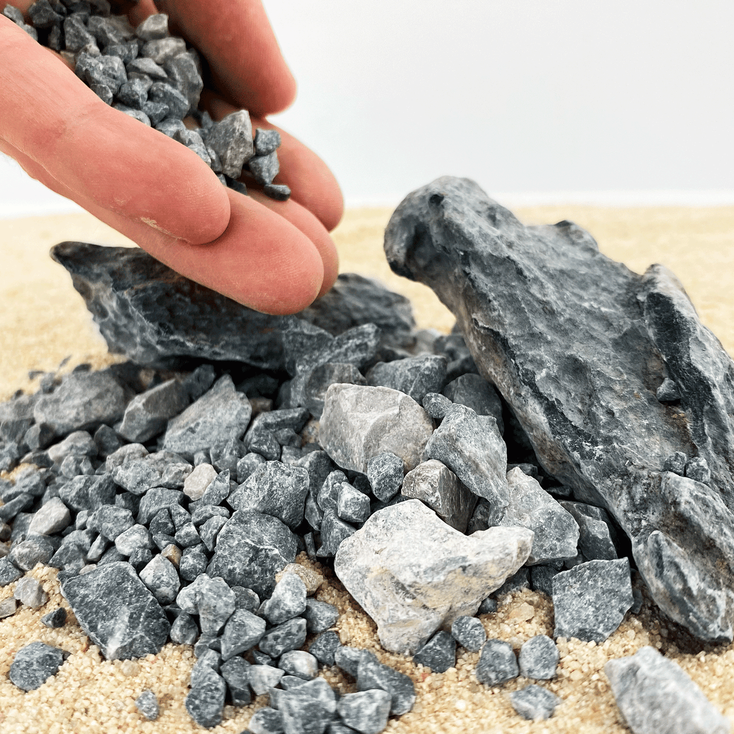 WIO | Accents - Grey Chip