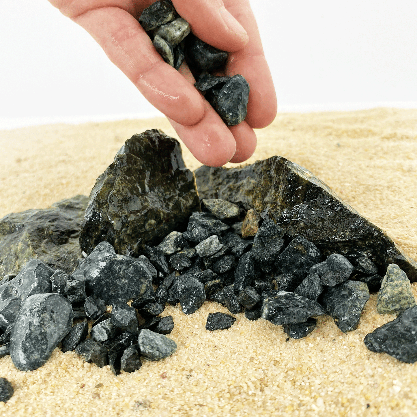 WIO | Accents - Green Chip