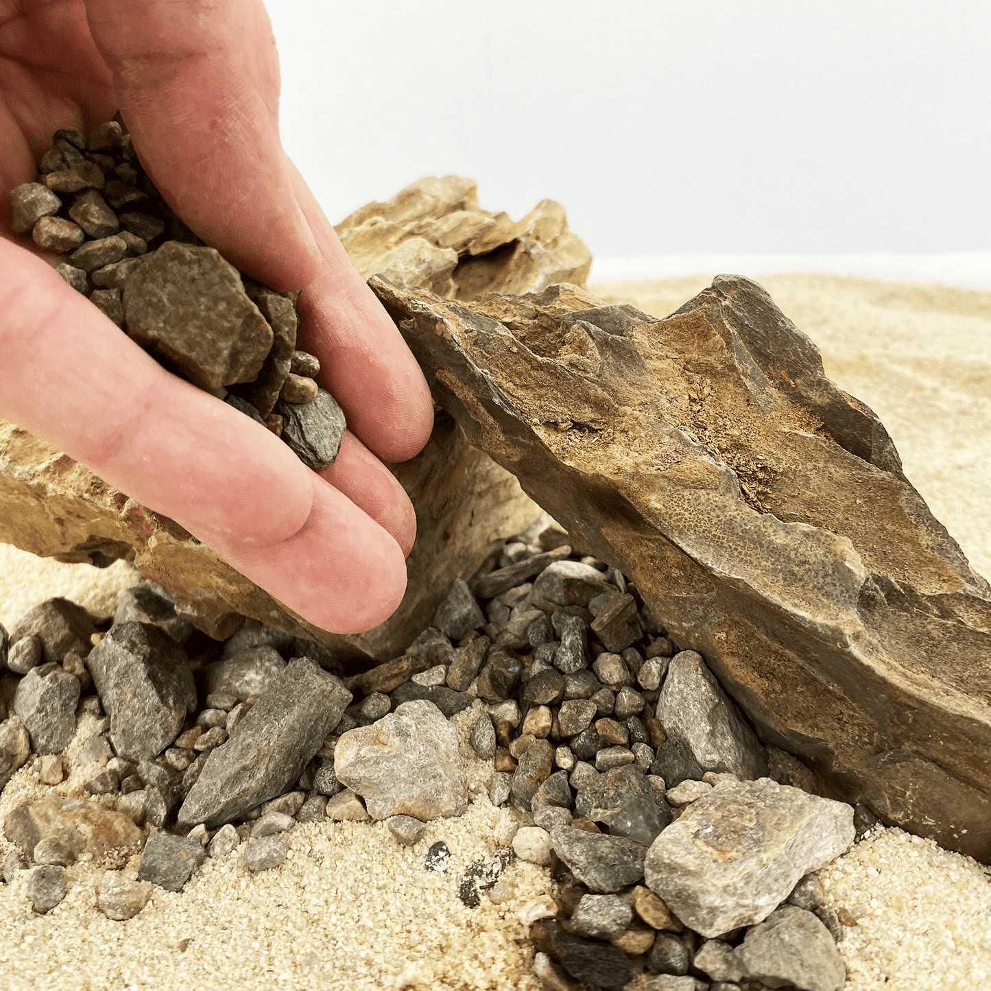 WIO | Accents - Brown Chip