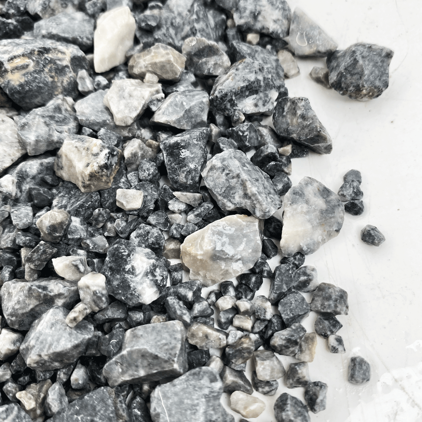 WIO | Accents - Grey Chip