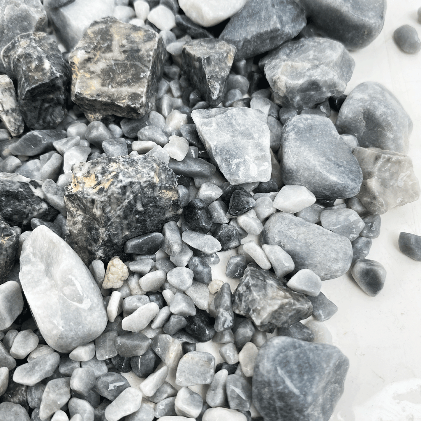 WIO | Accents - Cold Grey Chip