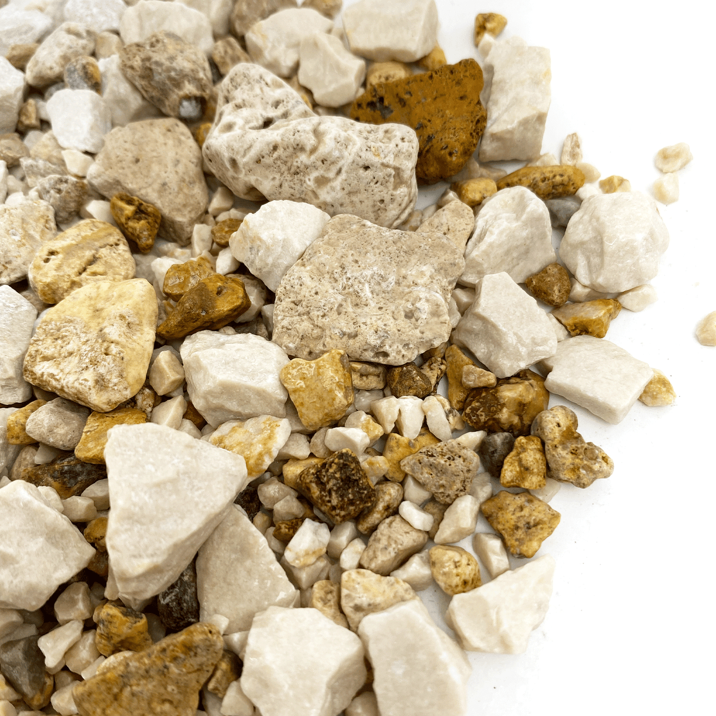 WIO | Accents - Pale Chip