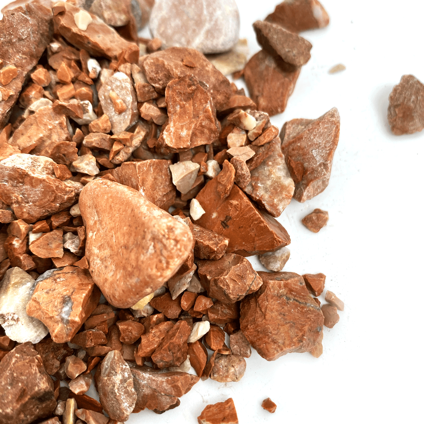 WIO | Accents - Red Chip