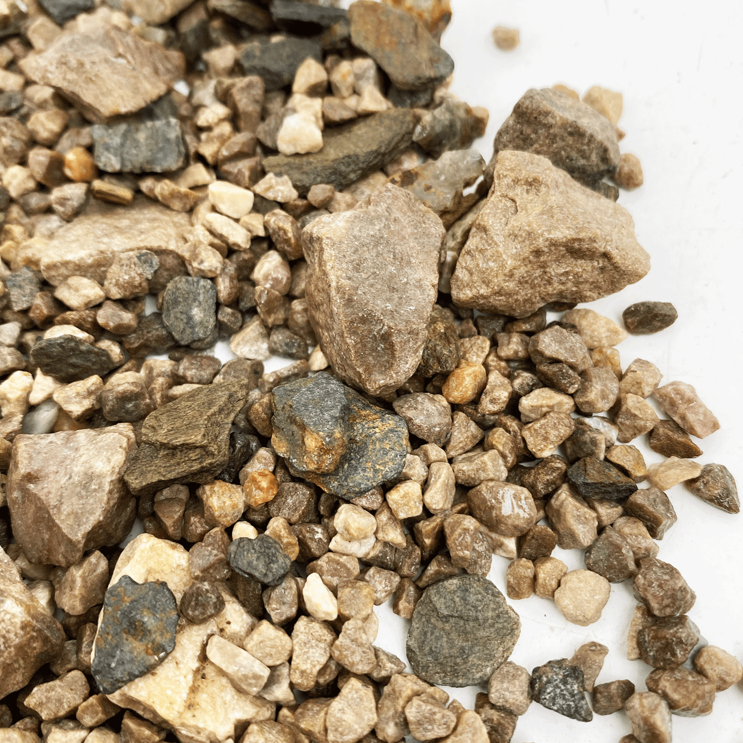 WIO | Accents - Brown Chip