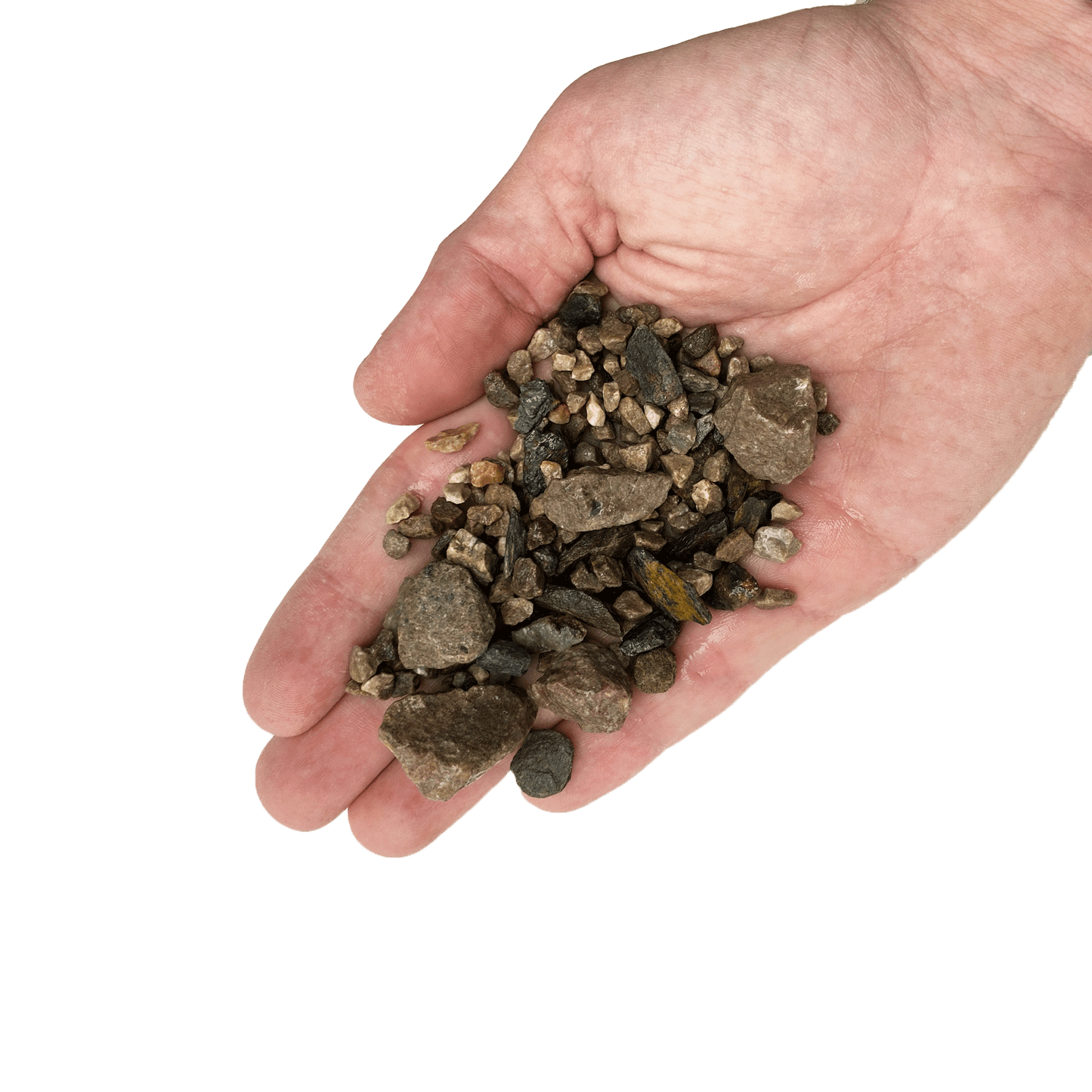 WIO | Accents - Brown Chip