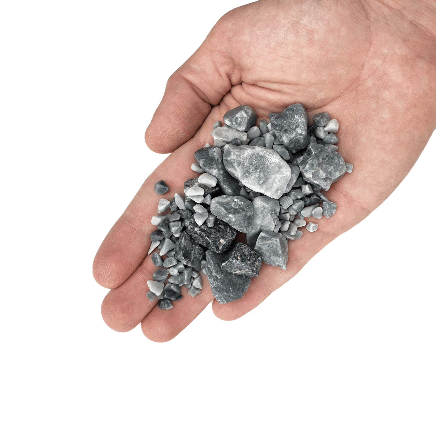 WIO | Accents - Cold Grey Chip