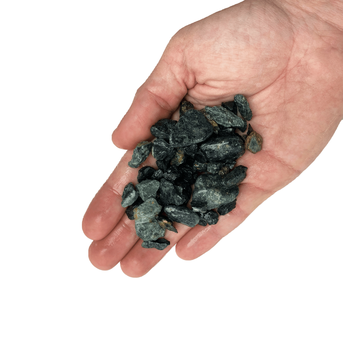 WIO | Accents - Green Chip