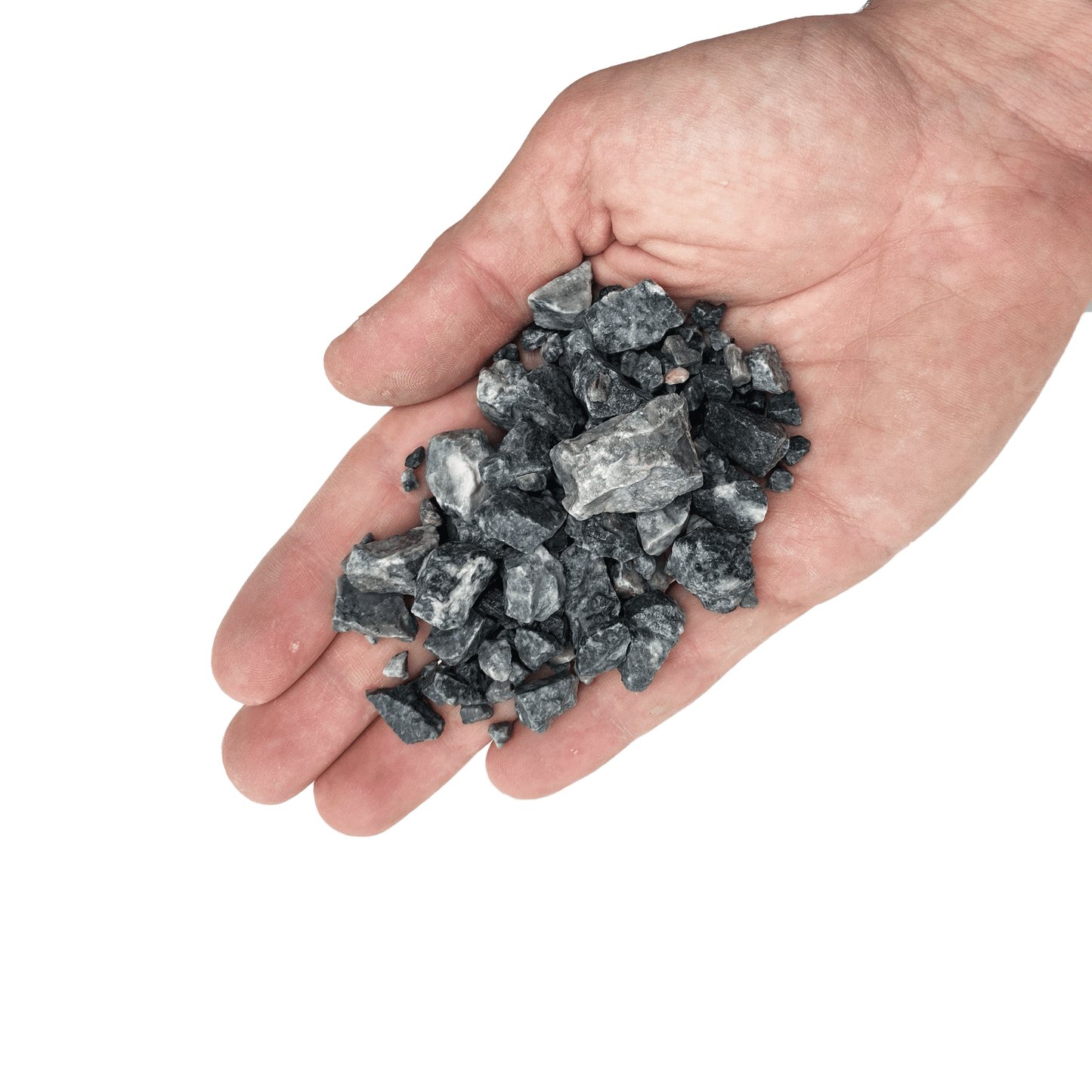 WIO | Accents - Grey Chip