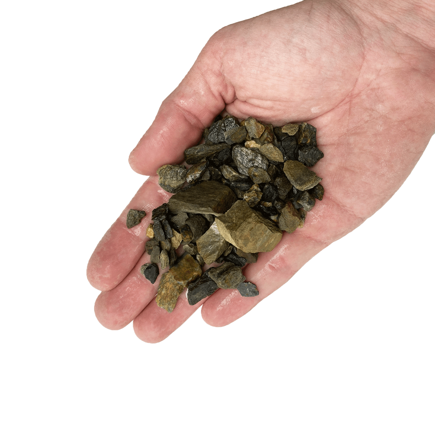 WIO | Accents - Warm Grey Chip