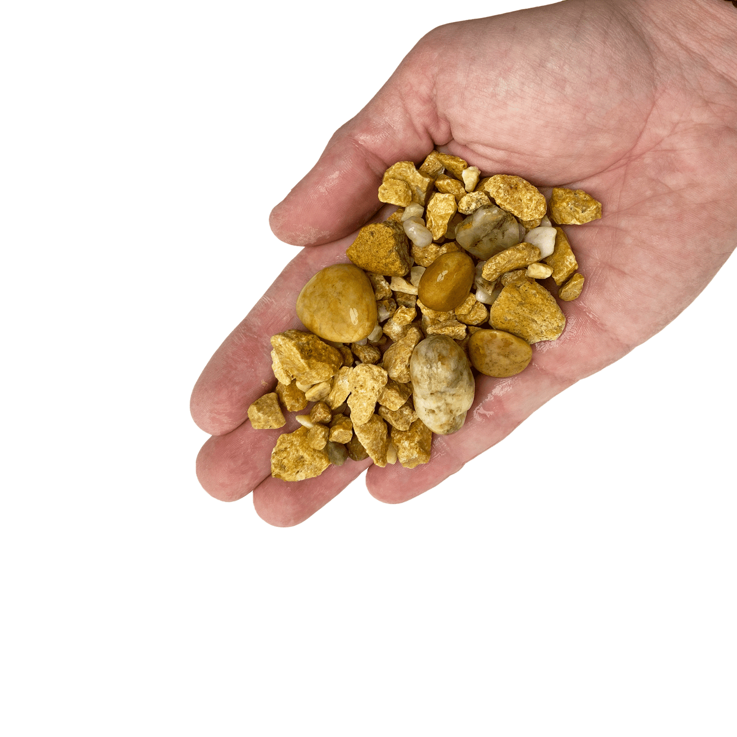 WIO | Accents - Yellow Chip