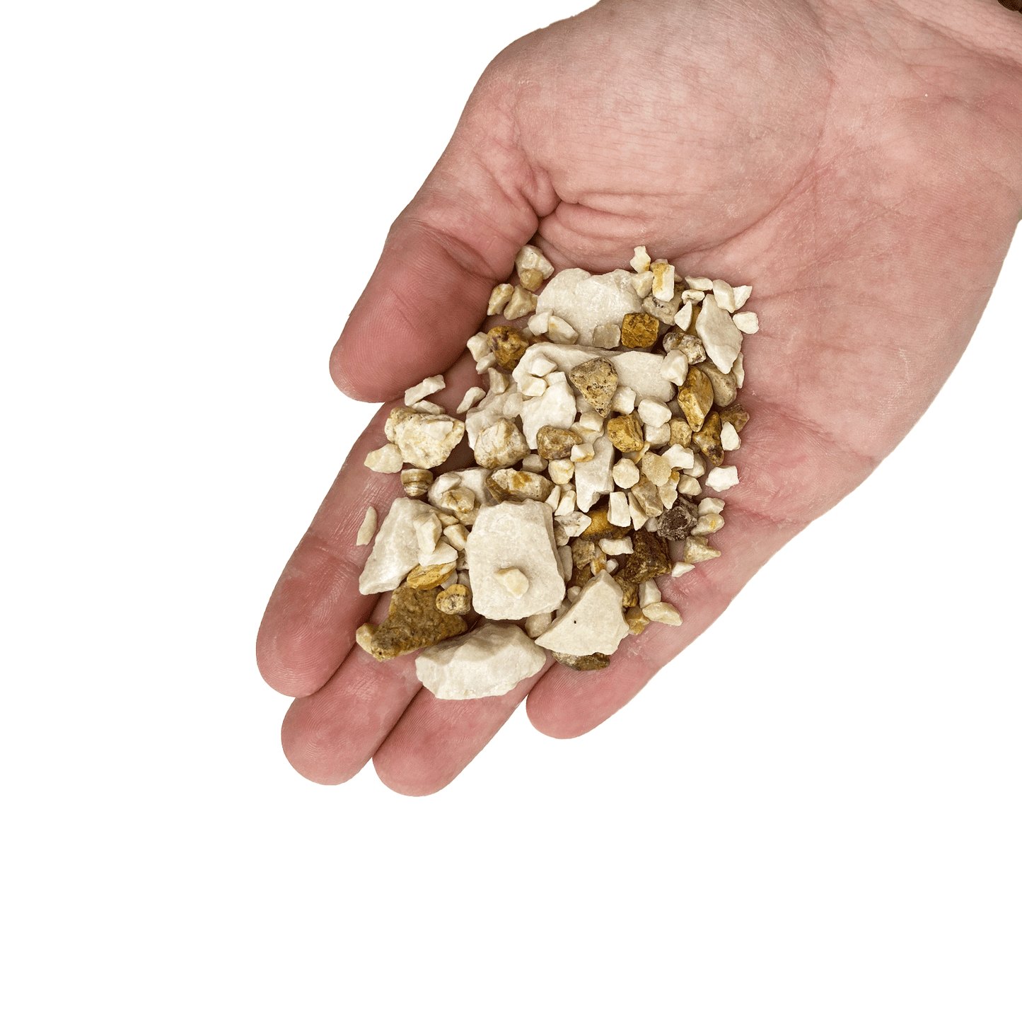 WIO | Accents - Pale Chip