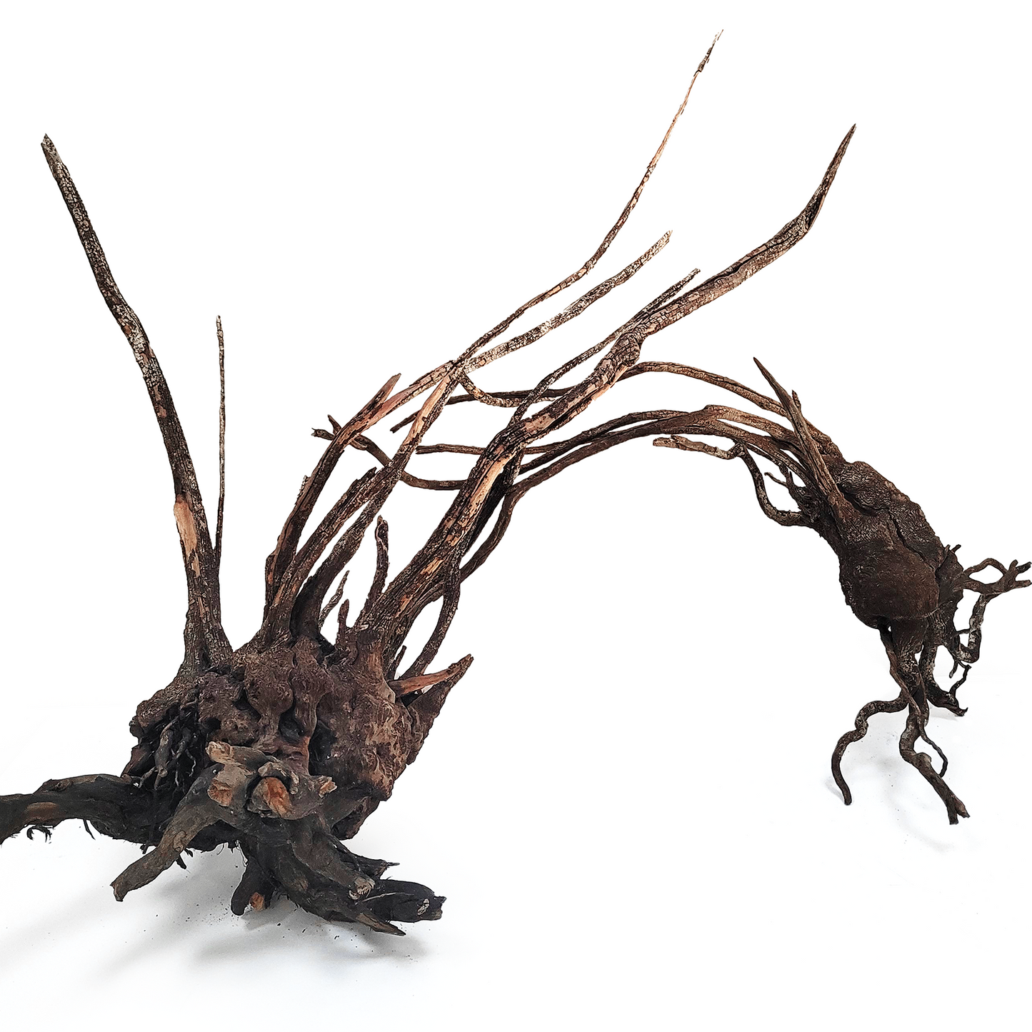 WIO | Wood - Striped