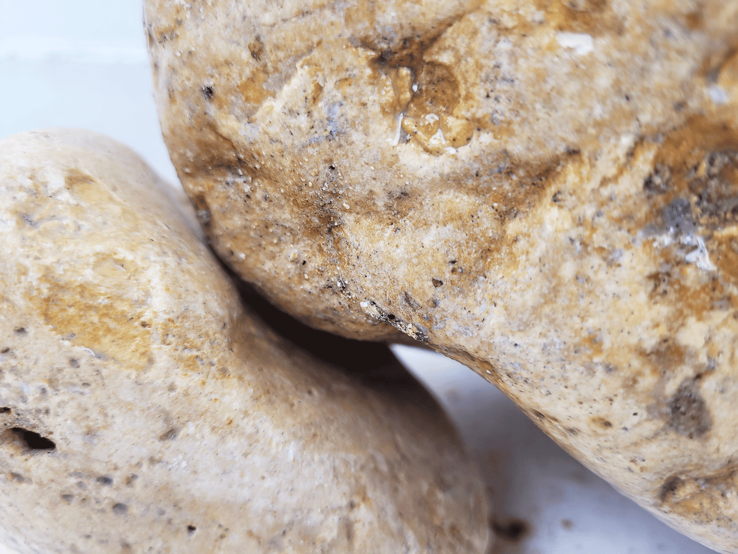 WIO | Boulders - White Adder Boulder Set (Limited)