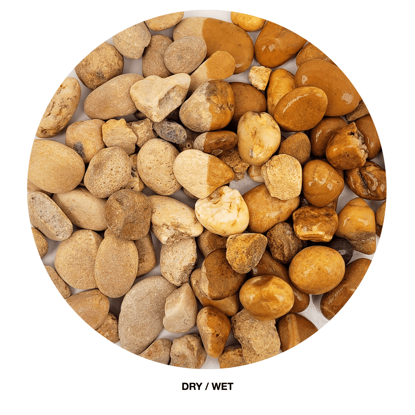 WIO | Gravel - Bumblebee