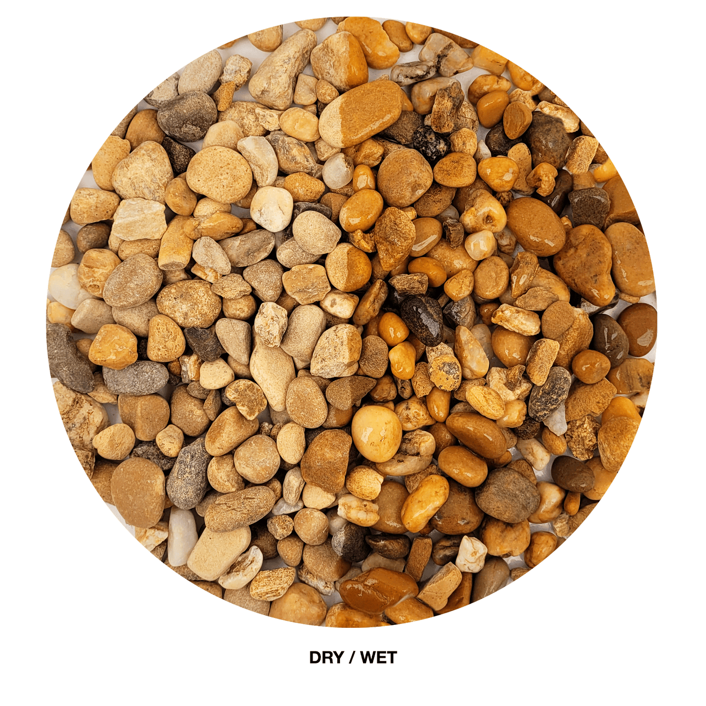 WIO | Gravel - Bumblebee