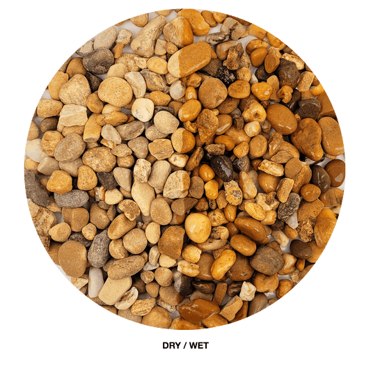 WIO | Gravel - Bumblebee