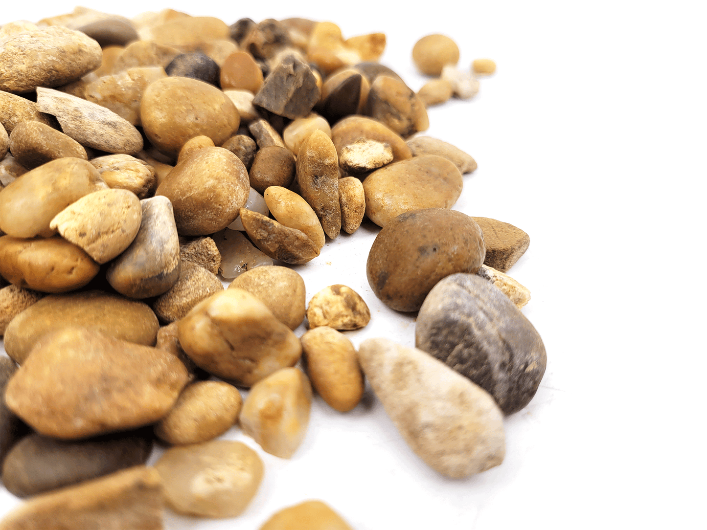 WIO | Gravel - Bumblebee