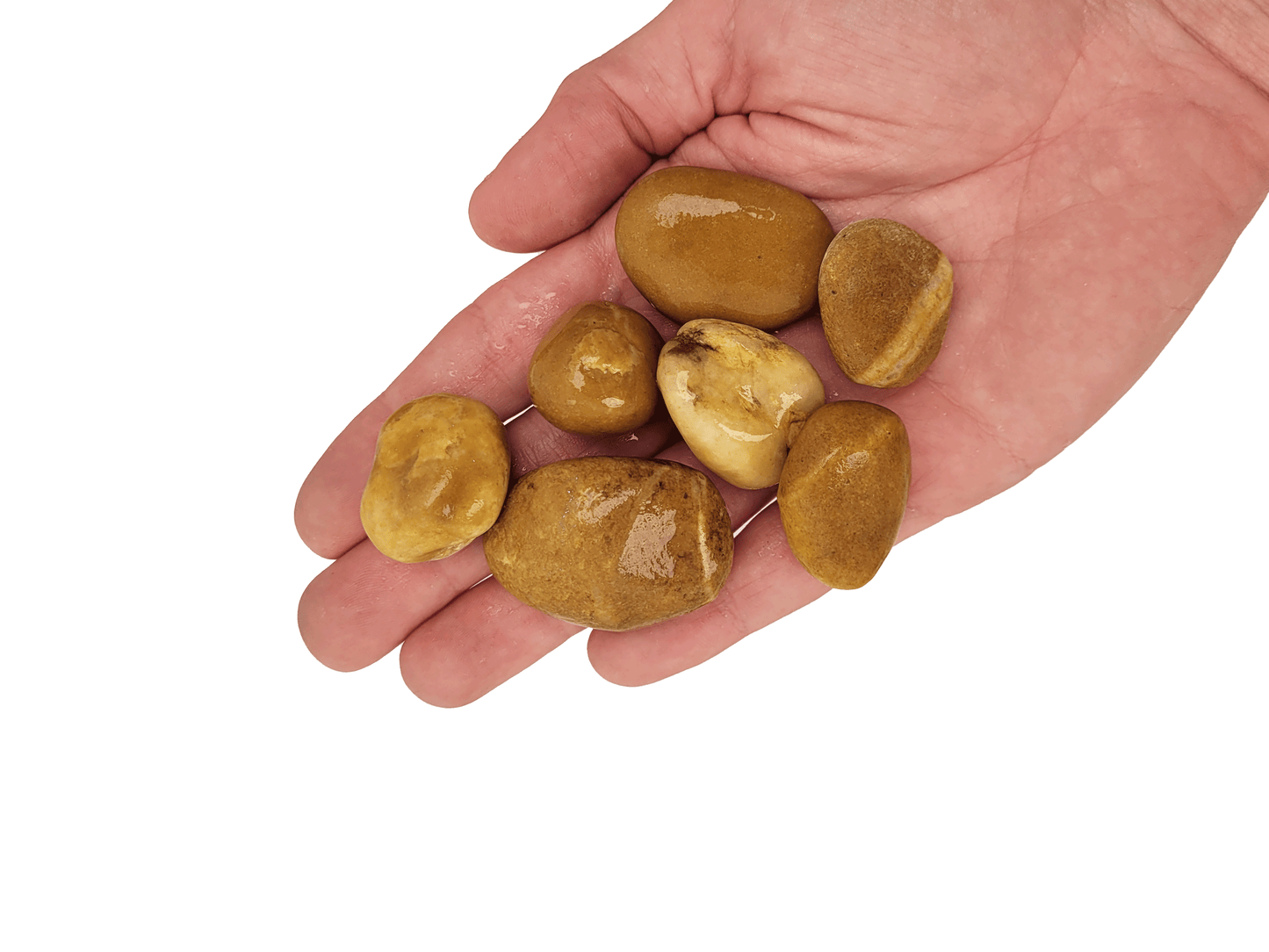 WIO | Gravel - Bumblebee